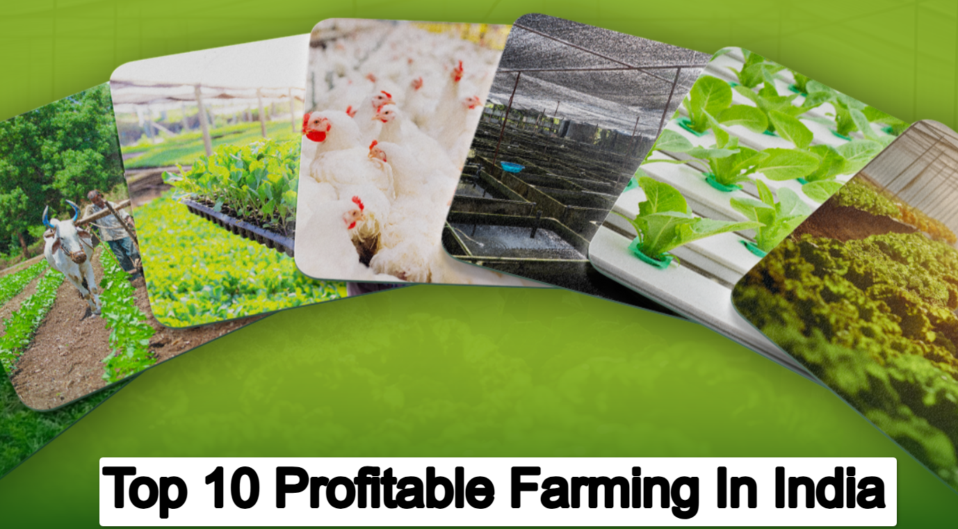 Top 10 Profitable Farming In India