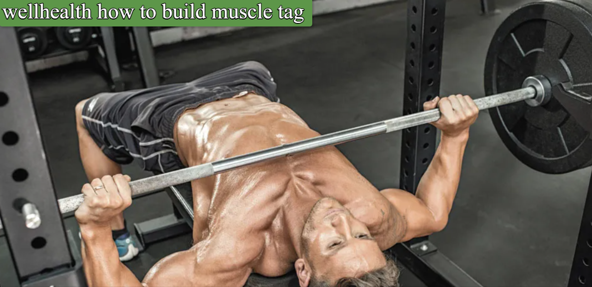 wellhealth how to build muscle tag