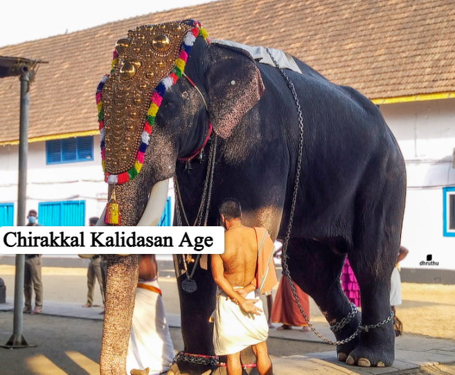 Chirakkal Kalidasan Age